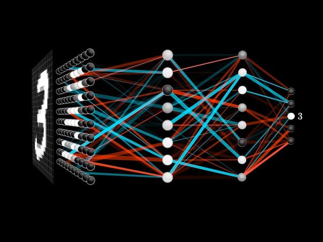 Biological neural network topology — input stimulation nodes, recurrent hidden layer, output recording banks